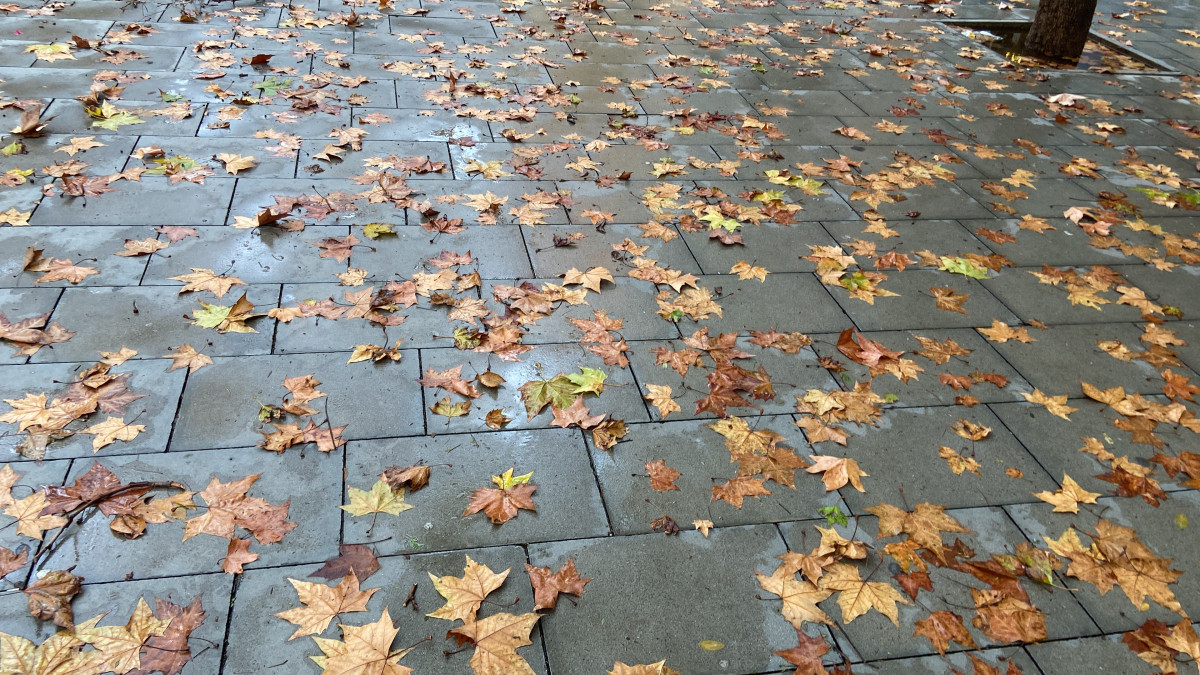 D557DAEF BDCD 425E BE4B B3D5CEF48E62