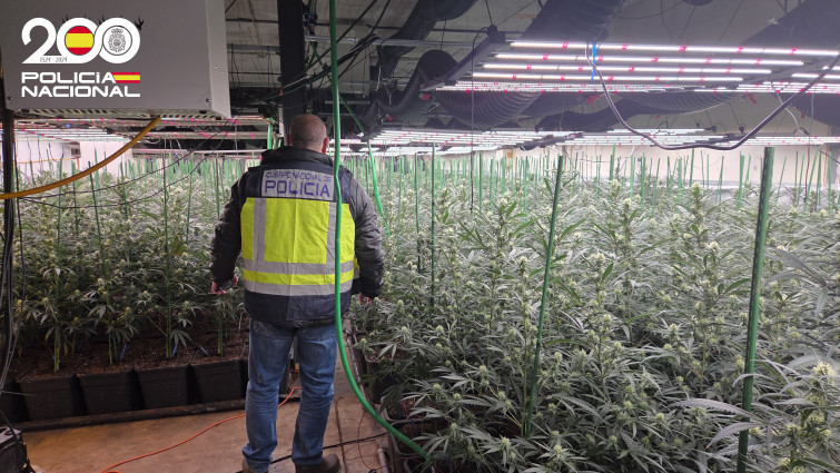 Operativo en Santa Eugenia de Berga: Un detenido y confiscados más de 270 kilos de marihuana