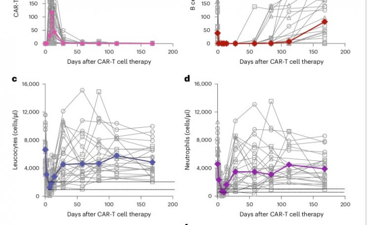 El fin del tratamiento crónico: la terapia que 