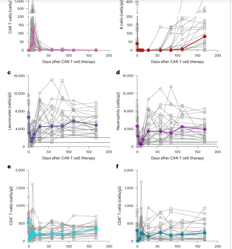 Estudio 555555555555