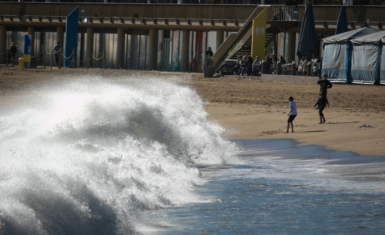 Cerrados los parques y jardines de Barcelona por las fuertes ventadas