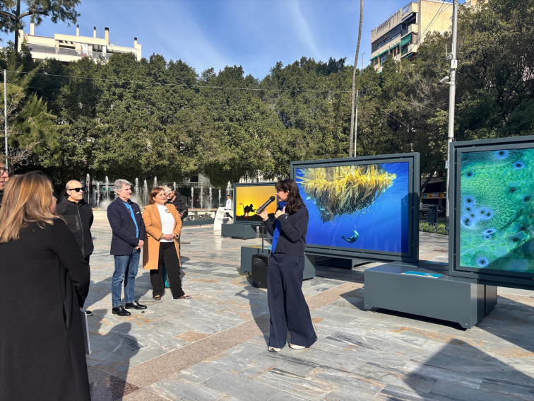 Fundación La Caixa ofrece un viaje por los 'Colores del mundo' en Orihuela