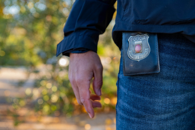 Cae la banda especialista en robos a la fuerza que aterrorizaba a comercios del del área metropolitana