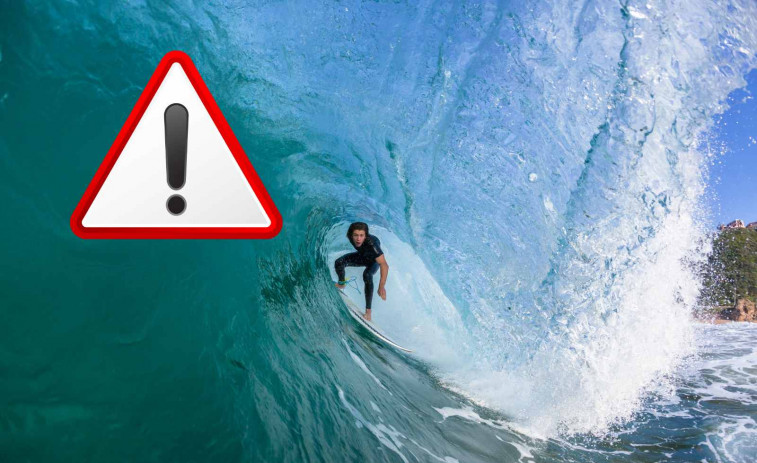 Terror en el mar: un tiburón blanco mata a un surfista ante sus amigos en un ataque brutal