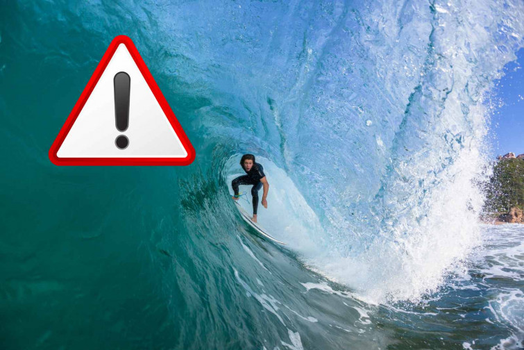 Terror en el mar: un tiburón blanco mata a un surfista ante sus amigos en un ataque brutal