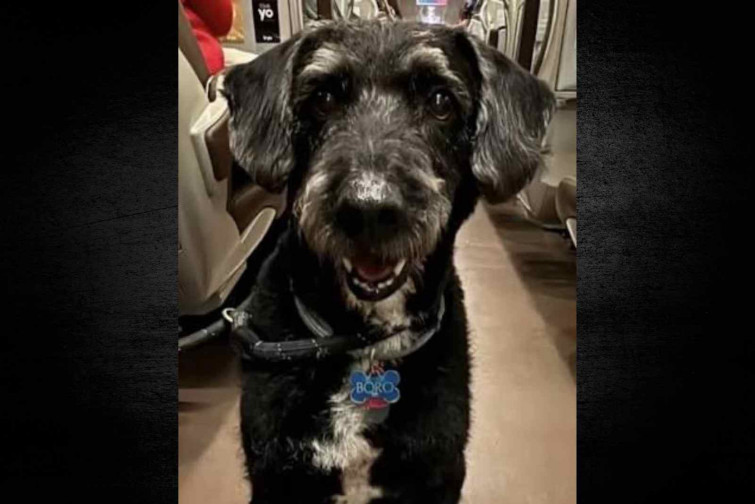 Boro vuelve a casa y se reencuentra con su familia tras sobrevivir al descarrilamiento de Adamuz