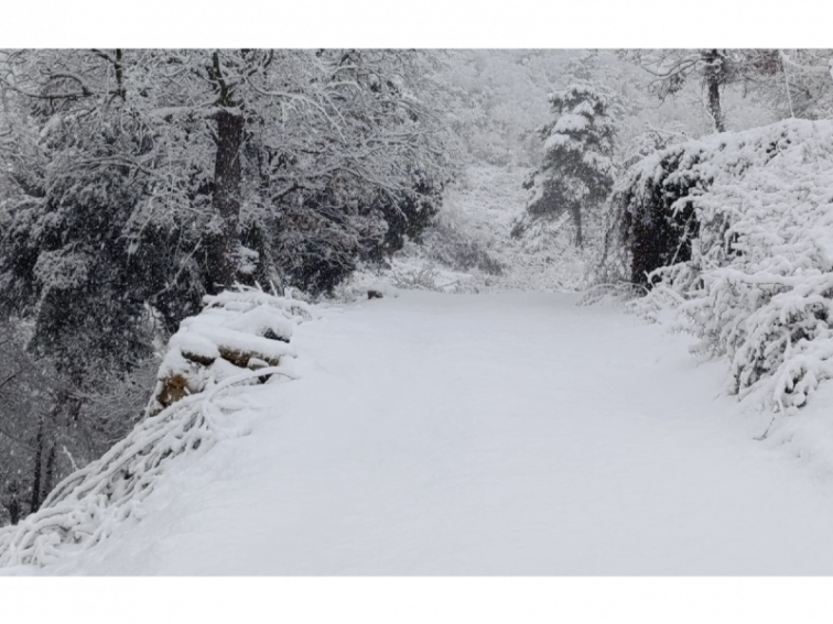 Catalunya mantiene la alerta por nevadas intensas, aludes y viento de hasta 72 km/h