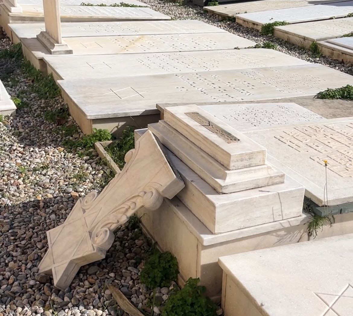 WhatsApp Image 2026 01 25 at 16.33.10