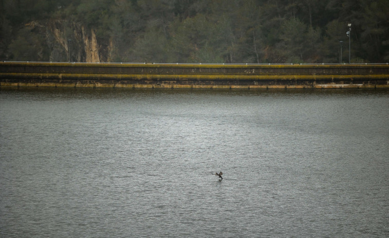 Las cuencas internas catalanas están al 92% y crecen 6 puntos en una semana por el temporal