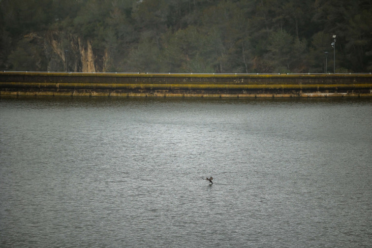 Las cuencas internas catalanas están al 92% y crecen 6 puntos en una semana por el temporal