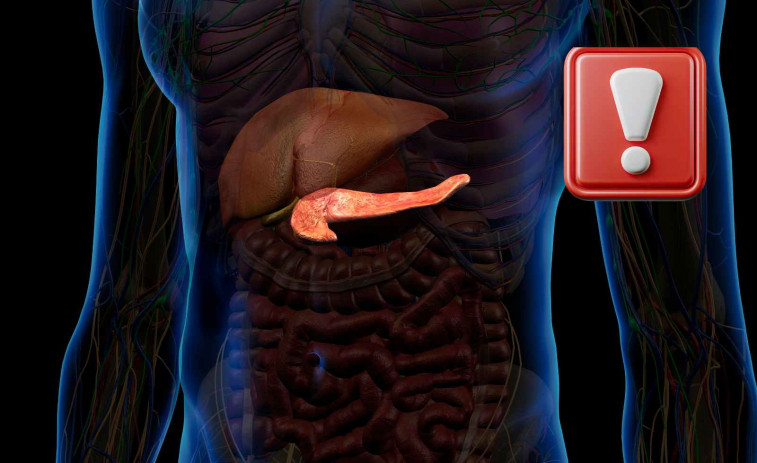 Cáncer de páncreas: científicos españoles logran la primera cura total en animales