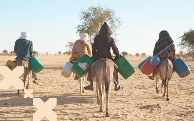 A PM 00258 0001 PG thumbnail spa