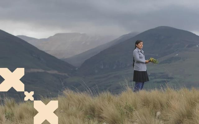 A PM 00259 0001 PG thumbnail spa