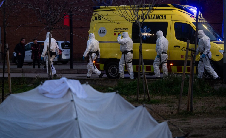 Tensión en la Zona Franca: los sin hogar son desplazados por una plaga de ratas
