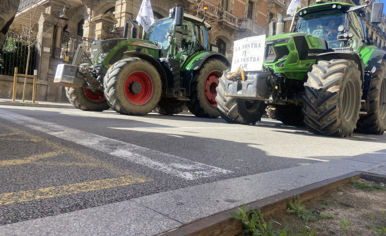 Freno al impacto del Mercosur: El Parlamento Europeo aprueba un escudo para proteger la agricultura