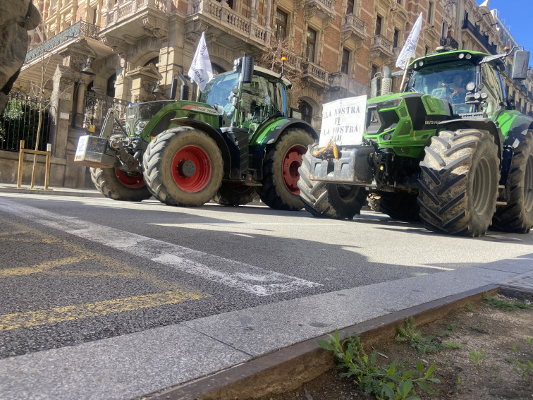 Freno al impacto del Mercosur: El Parlamento Europeo aprueba un escudo para proteger la agricultura