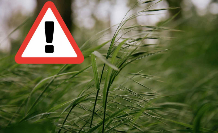 Alerta máxima por viento en Catalunya: recomiendan teletrabajo y evitar desplazamientos innecesarios