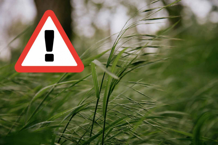 Alerta máxima por viento en Catalunya: recomiendan teletrabajo y evitar desplazamientos innecesarios