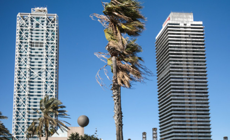 Pimec pide revisar el permiso climático para no cargar el coste solo a las empresas