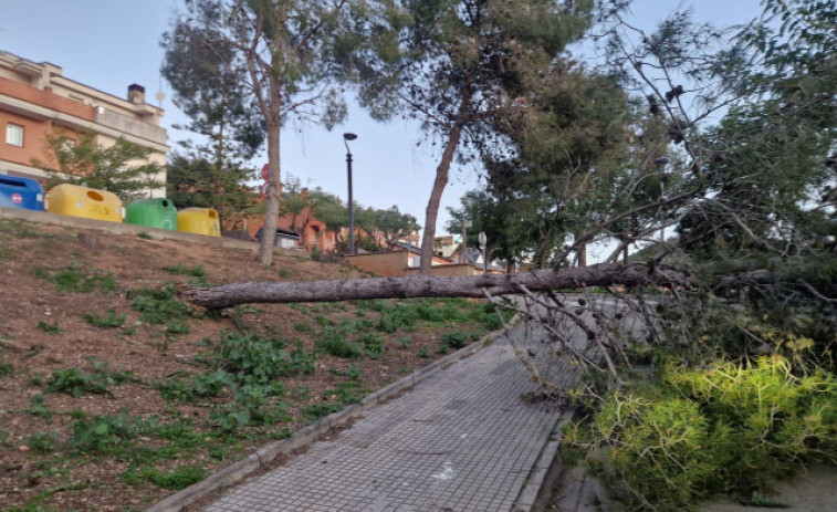 El 112 recibe un aluvión de llamadas y los servicios de emergencia piden usarlo solo en caso de necesidad