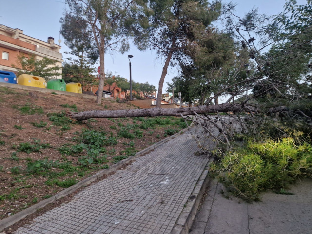 El 112 recibe un aluvión de llamadas y los servicios de emergencia piden usarlo solo en caso de necesidad