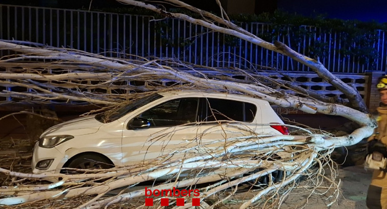 El temporal de viento de Catalunya en imágenes: árboles caídos, y carreteras afectadas
