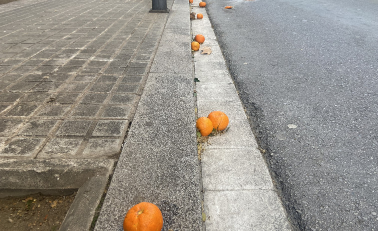 Alerta naranja: el fuerte temporal en Barcelona hace 