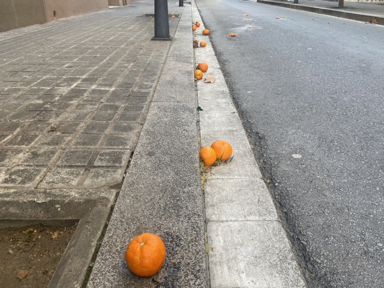 Alerta naranja: el fuerte temporal en Barcelona hace 