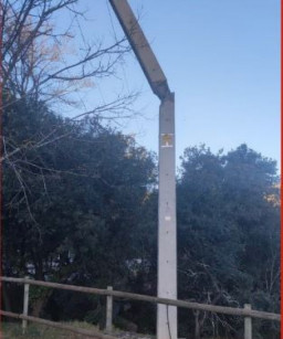 Torelles de Llobregat ante el viento: Endesa varias zonas y el autobús L71no circula por la caída de árboles