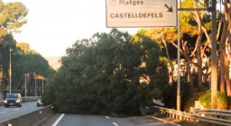 El fuerte viento provoca un pequeña incendio en Castellfefels tras llevarse por delante árboles, señales y la luz de algunas calles