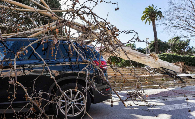 ¿Quién paga el desastre? Cómo cobrar tu seguro tras el temporal en Catalunya