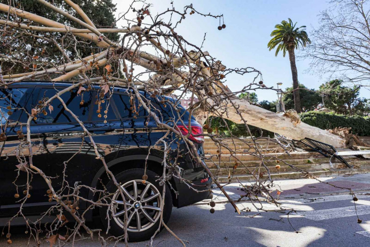 Las consecuencias del temporal de viento en Catalunya: más de 80 atendidos y 8 heridos, 1 crítico