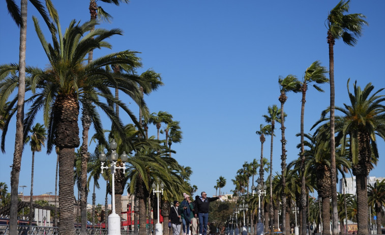 El viento en Catalunya deja varios heridos y se retiran las restricciones: así fue el episodio que colapsó carreteras, trenes y aeropuertos