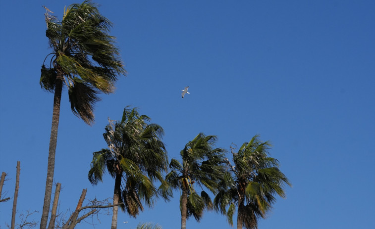 Protecció Civil activa el plan Ventcat por fuerte viento a partir de este miércoles por la noche