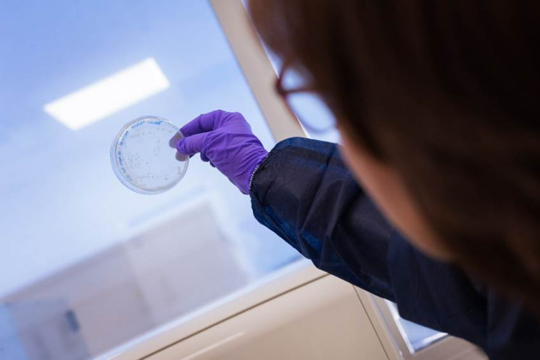 Crean un anticuerpo que protege la defensa inmunitaria de una 