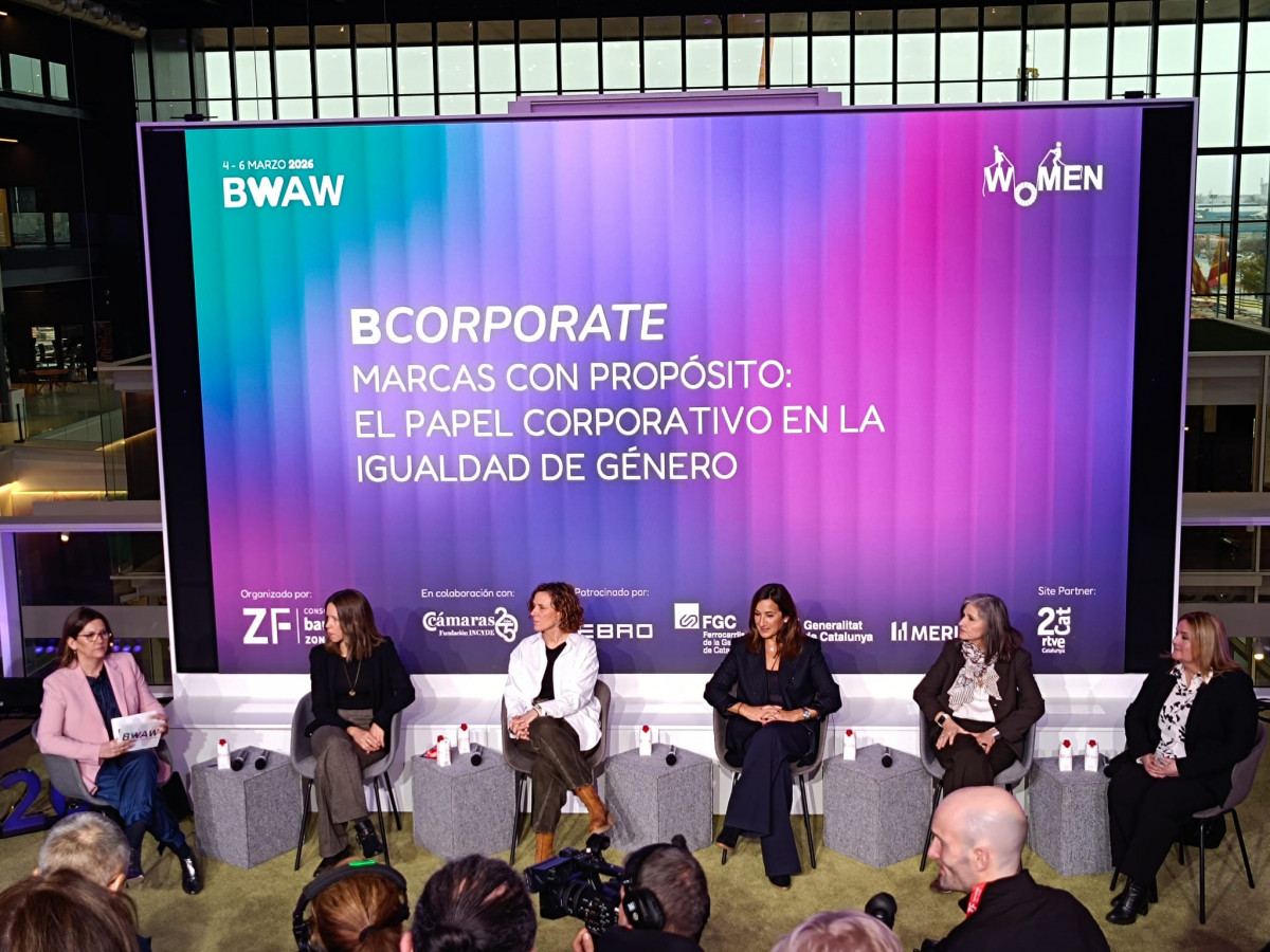 WhatsApp Image 2026 03 05 at 13.13.27