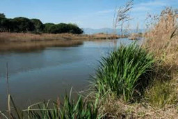 Gavà celebra el Día de la Murtra con limpieza popular y ruta guiada por un espacio protegido