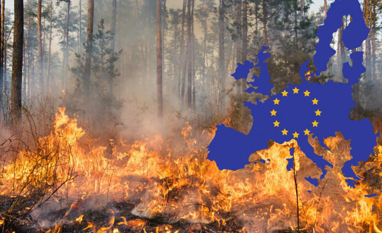 Más plagas e incendios forestales: así será el futuro de Europa