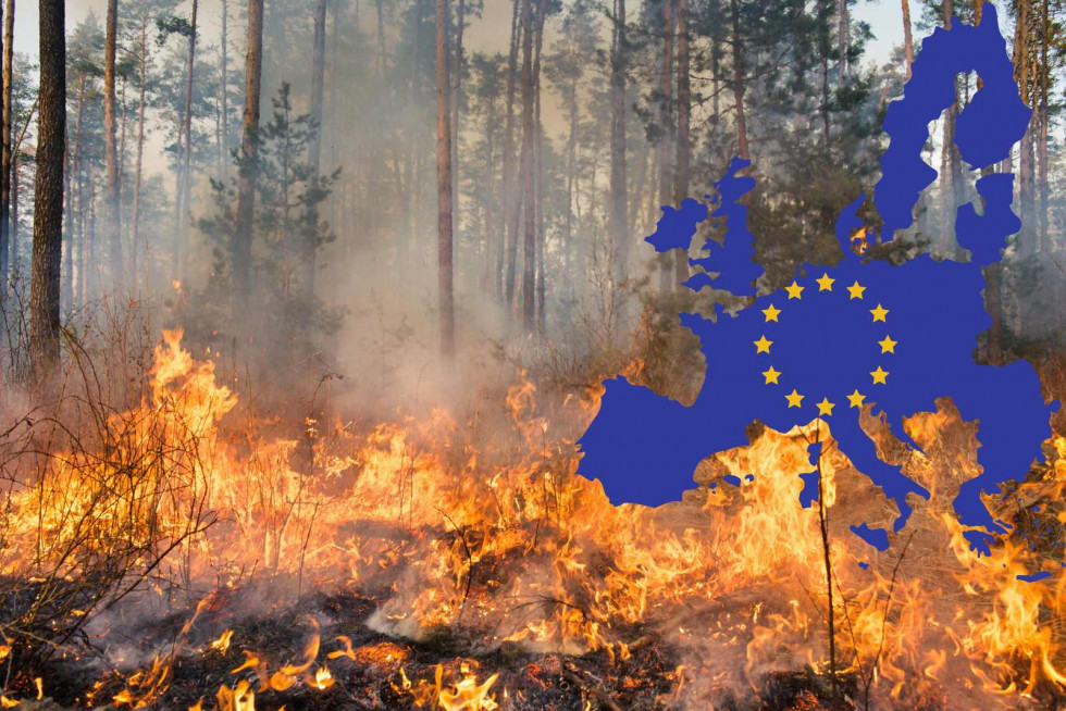 Europa, incendio (1)