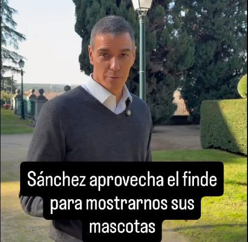 Vídeo: Conoce a las dos perras del presidente Sánchez