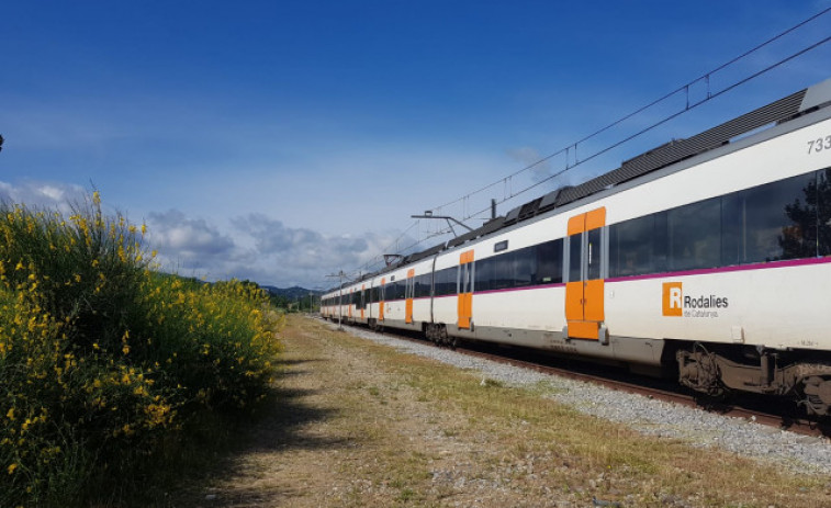 Restablecida la R11 entre Girona y Figueres tras el corte por árboles sobre la vía