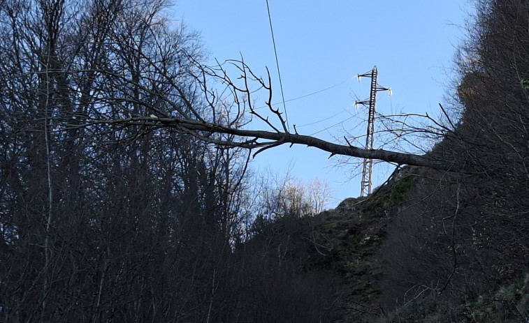 5.000 clientes de Endesa de municipios de Girona sin luz por efecto del viento