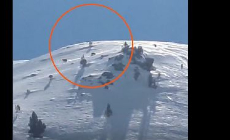 VIDEO. Dos esquiadores graban a una osa parda con sus crias sobre la nieve de una estación de esquí del Pirineo