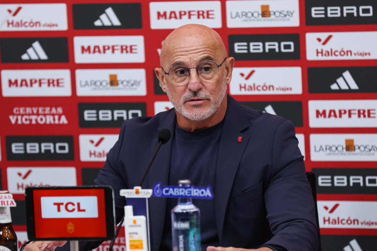 EuropaPress 7083377 luis fuente head coach of spain attends press conference to announce his