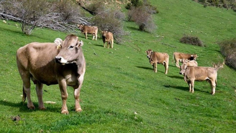Catalunya consolida su agroindustria con 58.000 millones y récord de exportaciones