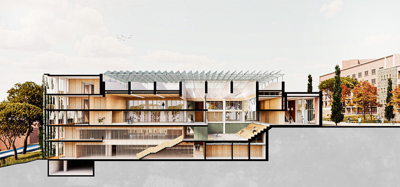 55164496334 d41872ee02 c