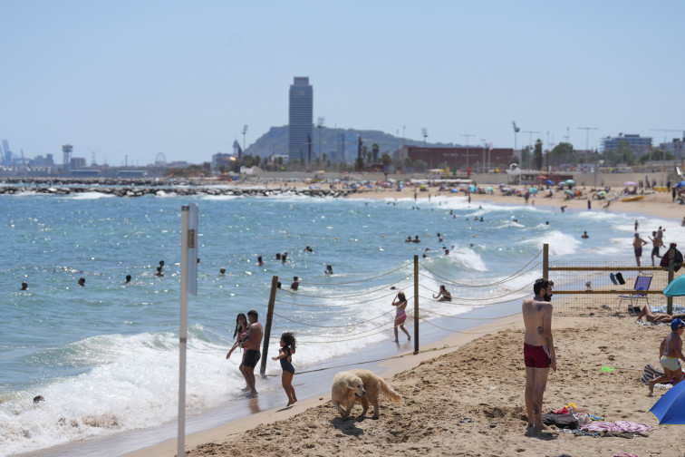 Arranca la temporada de baño con mejoras en playas, seguridad reforzada y conservación ambiental
