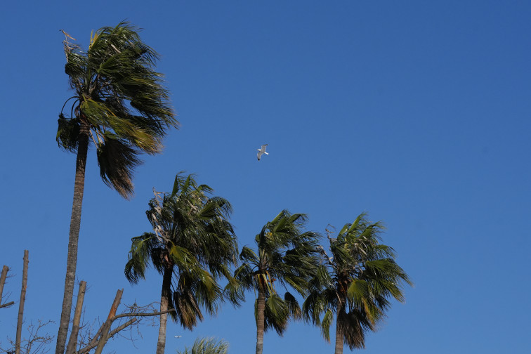 Catalunya enfrenta vientos de hasta 160 km/h que provocan incidentes y cortes en carreteras