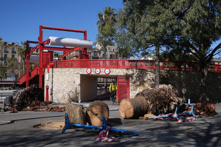 El temporal de viento en Catalunya genera 1.196 llamadas al 112 hasta las 14h de este lunes