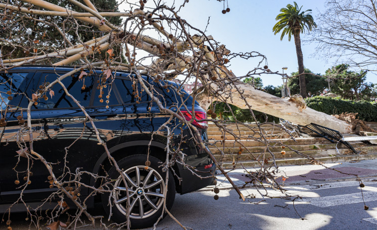 Alerta naranja en Catalunya: el viento no da tregua con rachas que superan los 90 km/h